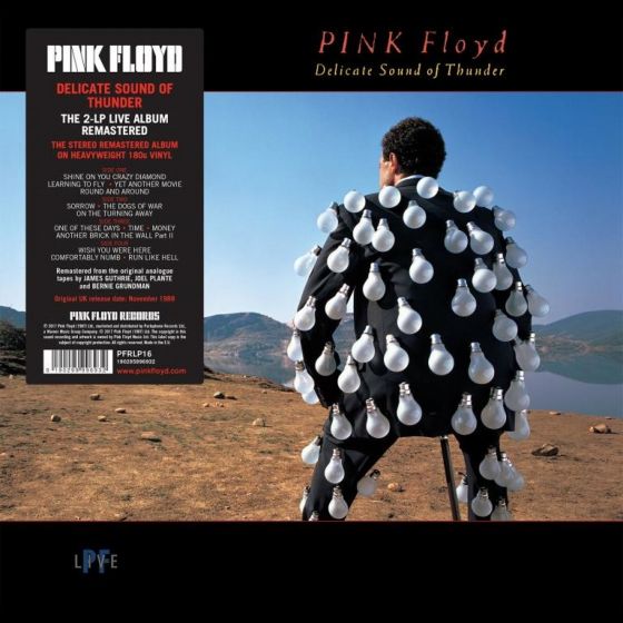 2LP Pink Floyd – Delicate...